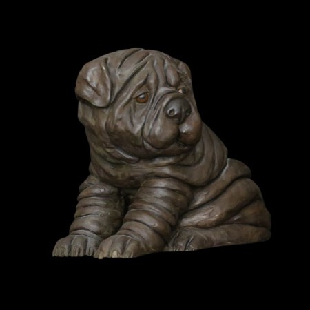 Horace - le sharpei