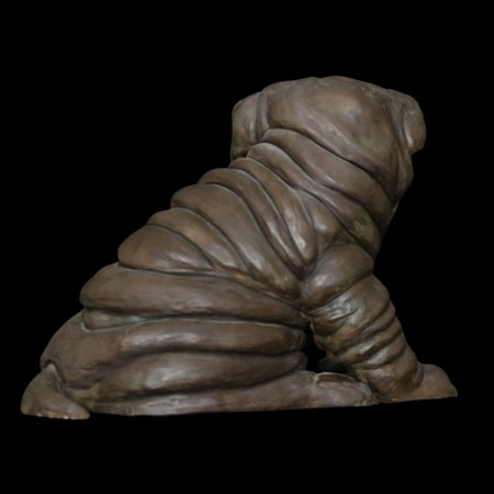 Horace - le sharpei